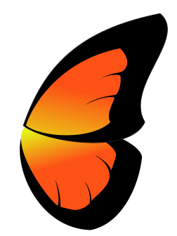 крыло бабочки из контуров
