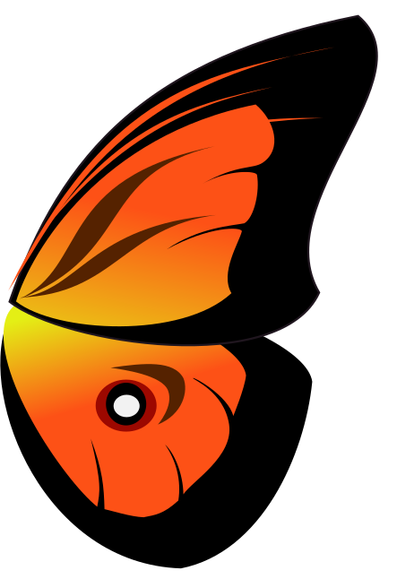 крыло бабочки