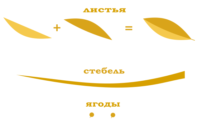 элементы лавровой ветви c сайта enascor.ru