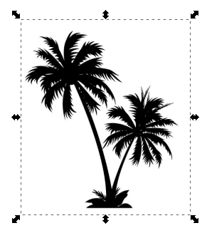 контур пальмы
