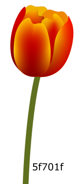 тюльпаны, вектор