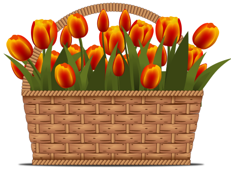 как нарисовать корзину с тюльпанами
