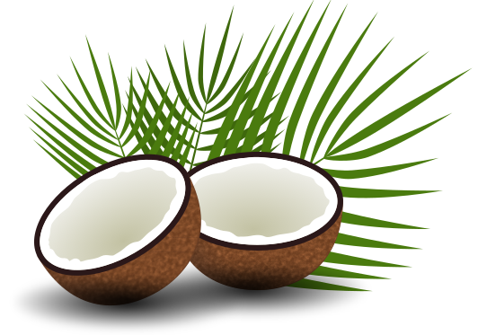 рисунок кокоса вектор svg