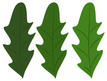 контур листья вектор