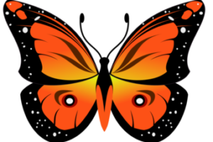 Бабочка в inkscape