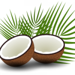 Создаем рисунок кокоса с помощью inkscape