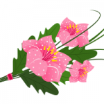 Рисуем цветы с помощью векторного редактора